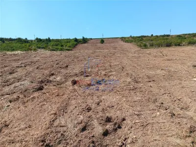 Opportunité Exceptionnelle: Terrain Sorogari 10 000 m² Plan Urbain Approuvé et Réseaux - foto 4