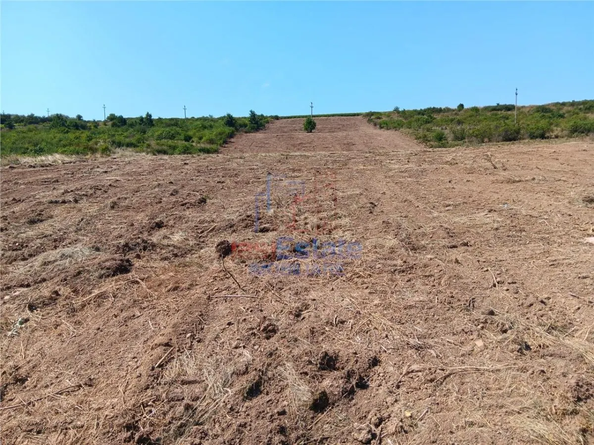 Opportunité Exceptionnelle: Terrain Sorogari 10 000 m² Plan Urbain Approuvé et Réseaux - foto 4
