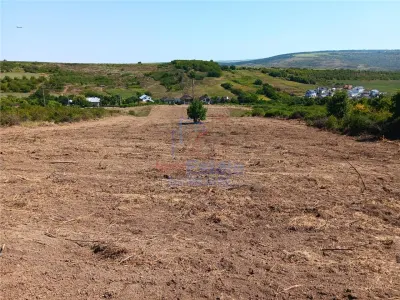 Opportunité Exceptionnelle: Terrain Sorogari 10 000 m² Plan Urbain Approuvé et Réseaux - foto 5
