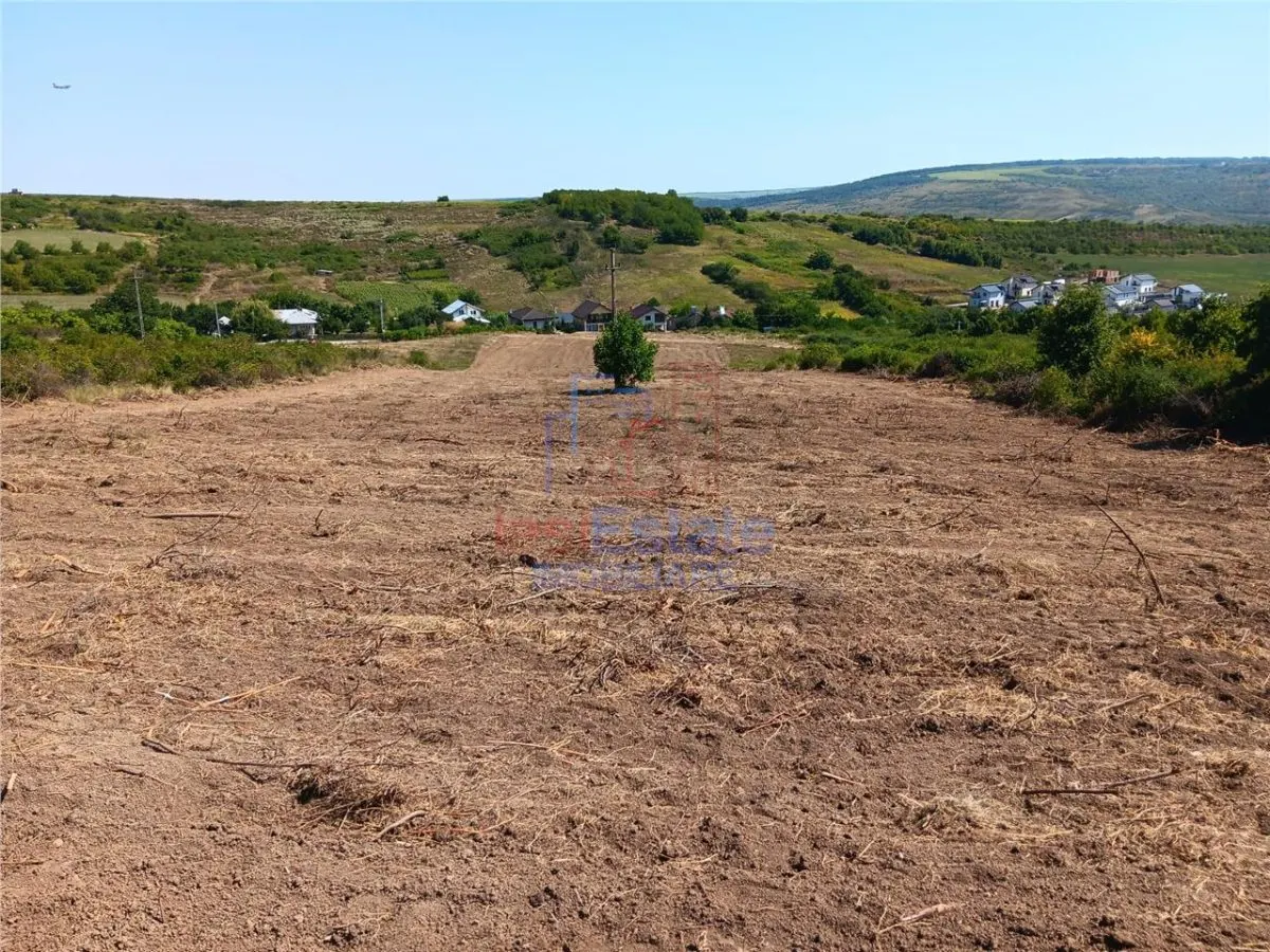 Opportunité Exceptionnelle: Terrain Sorogari 10 000 m² Plan Urbain Approuvé et Réseaux - foto 5