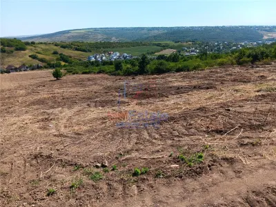 Opportunité Exceptionnelle: Terrain Sorogari 10 000 m² Plan Urbain Approuvé et Réseaux - foto 6