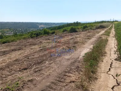 Opportunité Exceptionnelle: Terrain Sorogari 10 000 m² Plan Urbain Approuvé et Réseaux - foto 10