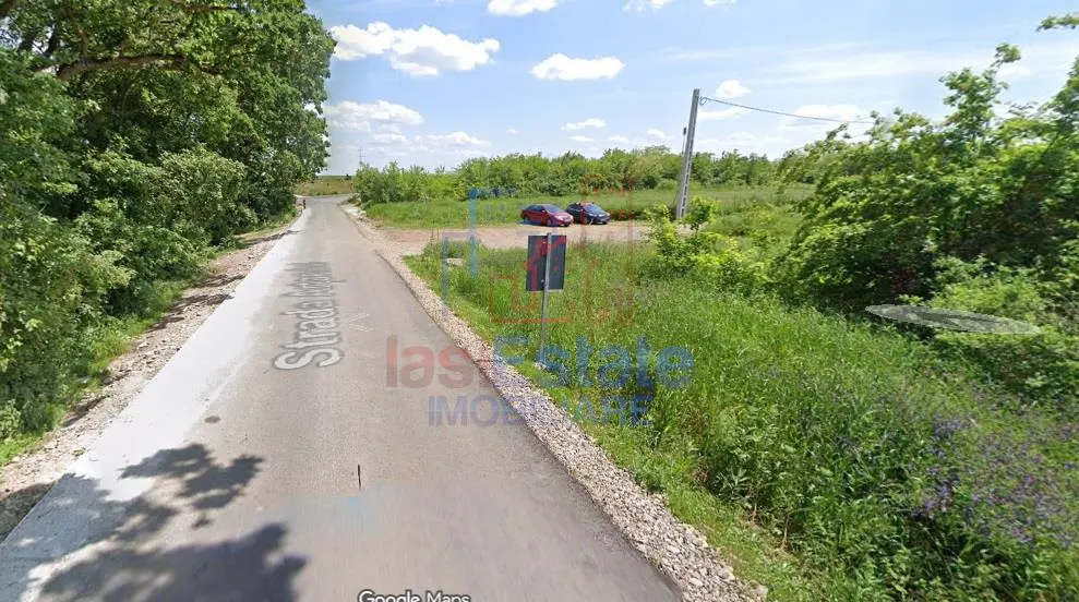 Exceptional Opportunity: Valea Ursului Forest-Adjacent Land 2,840 sqm with Full Utilities - foto 1