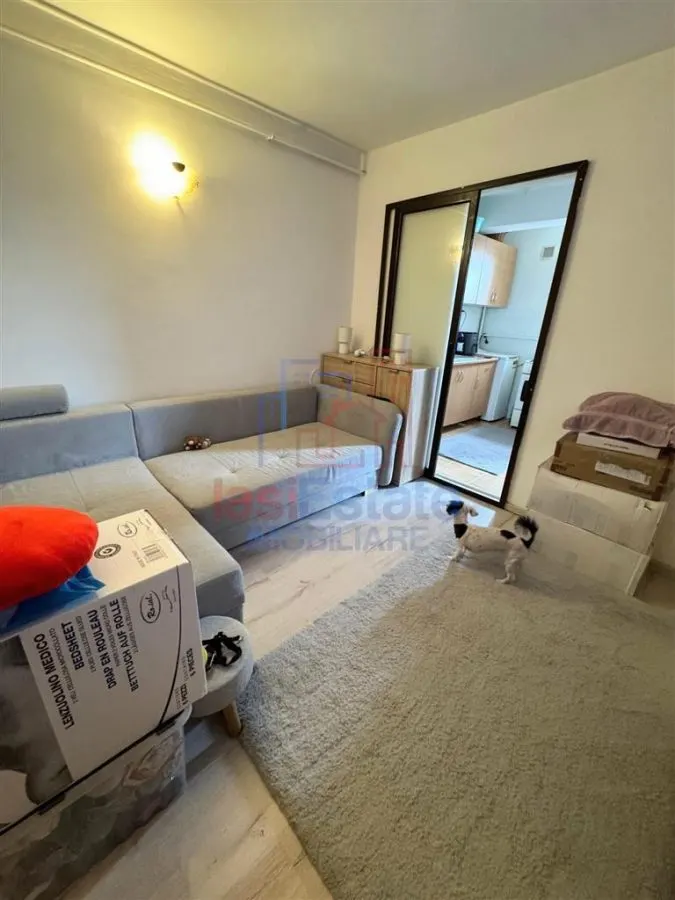 Studio à Vendre à Alexandru cel Bun, Iași - foto 1