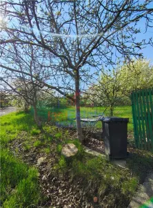 UAT Iasi - Trecatoarea Paun - Terrain À Bâtir Bucium 750m² - foto 2