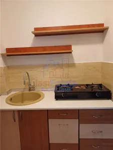 Studio Premier Étage Meublé et Équipé - Iasi