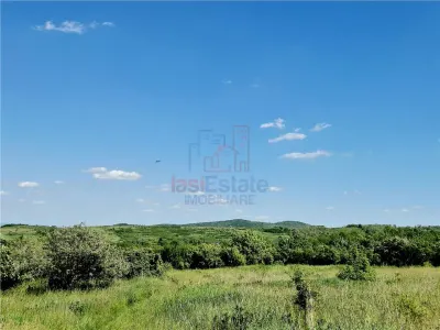 Terrain avec Vues Exceptionnelles - Tomesti