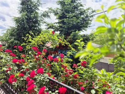 塔塔拉什独栋住宅出售（雅西市） - foto 2