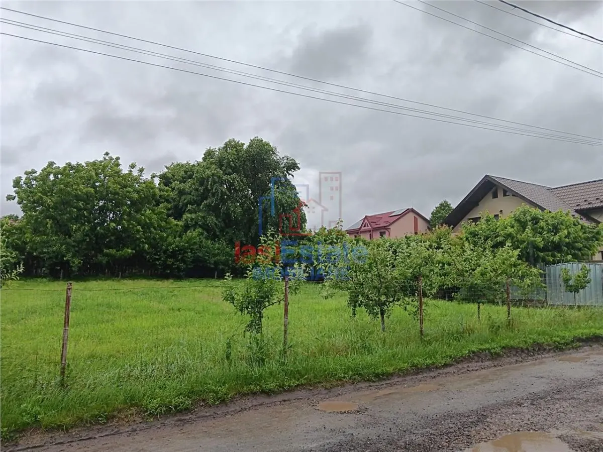 Valea Ursului Terrain 600m², Tous Réseaux à 50m de la Route Principale - foto 4