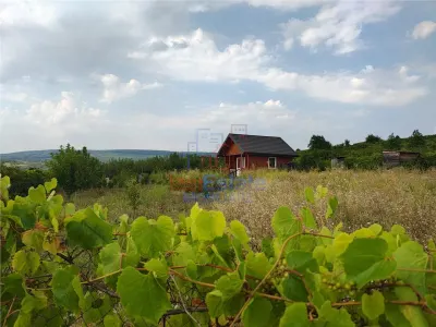 Tomesti - Terrain avec Cabane en Bois - Tomesti