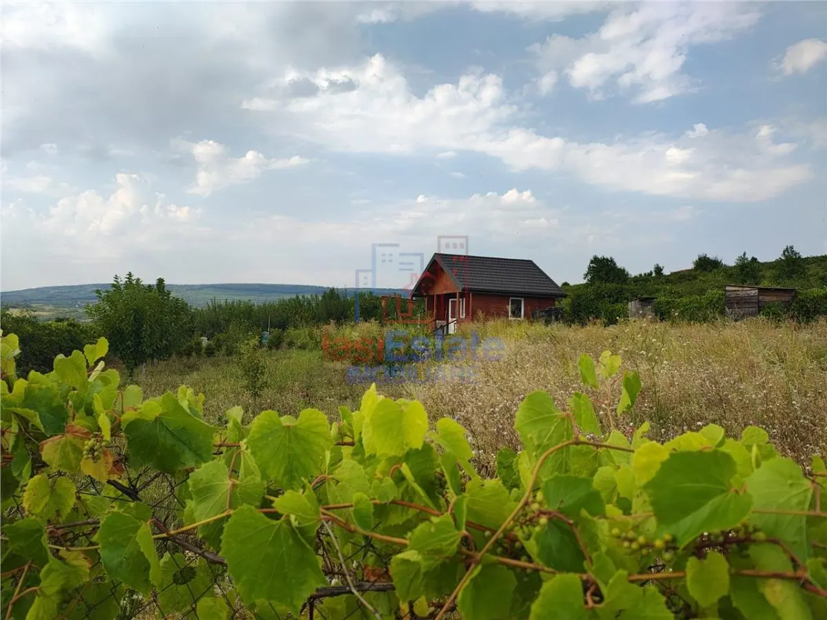Tomesti - Terrain avec Cabane en Bois - foto 1