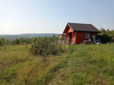 Tomesti - Terrain avec Cabane en Bois - foto 2