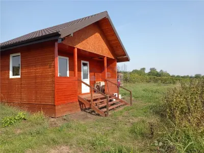 Tomesti - Terrain avec Cabane en Bois - foto 3