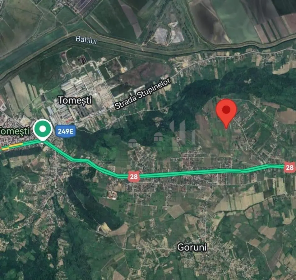 Tomesti - Terrain avec Cabane en Bois - foto 4