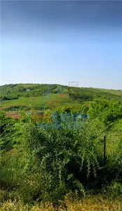 Terrain Urbain à Vendre à Bucium – Strada Fermei - foto 4