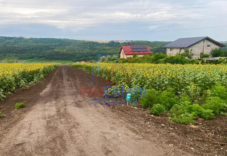 Terrain Constructible - Valea Lupului - foto 1