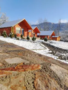 Complejo Turístico Excepcional en Valea Doftanei, a 2 Horas de Bucuresti - foto 5