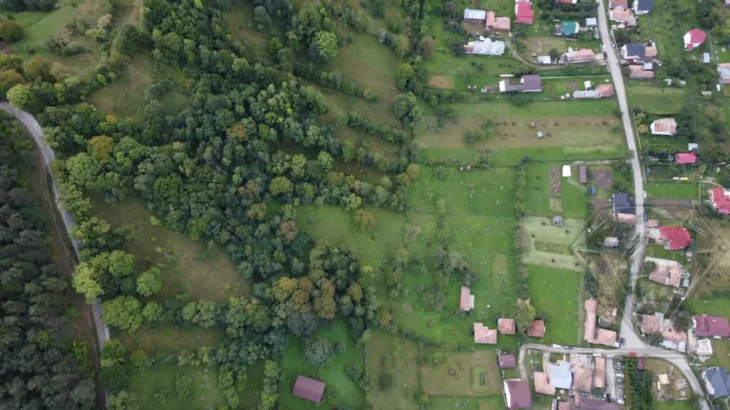 Terrain Valea Doftanei – 17 000 m² - foto 11