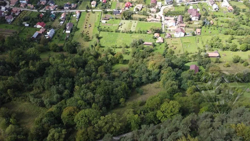 Terrain Valea Doftanei – 17 000 m² - foto 6