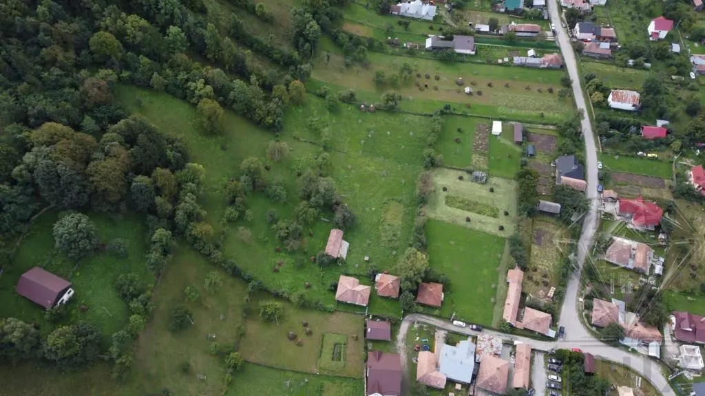 Terrain Valea Doftanei – 17 000 m² - foto 8