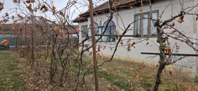 Terreno con Casa, Mehedința, Prahova - foto 4