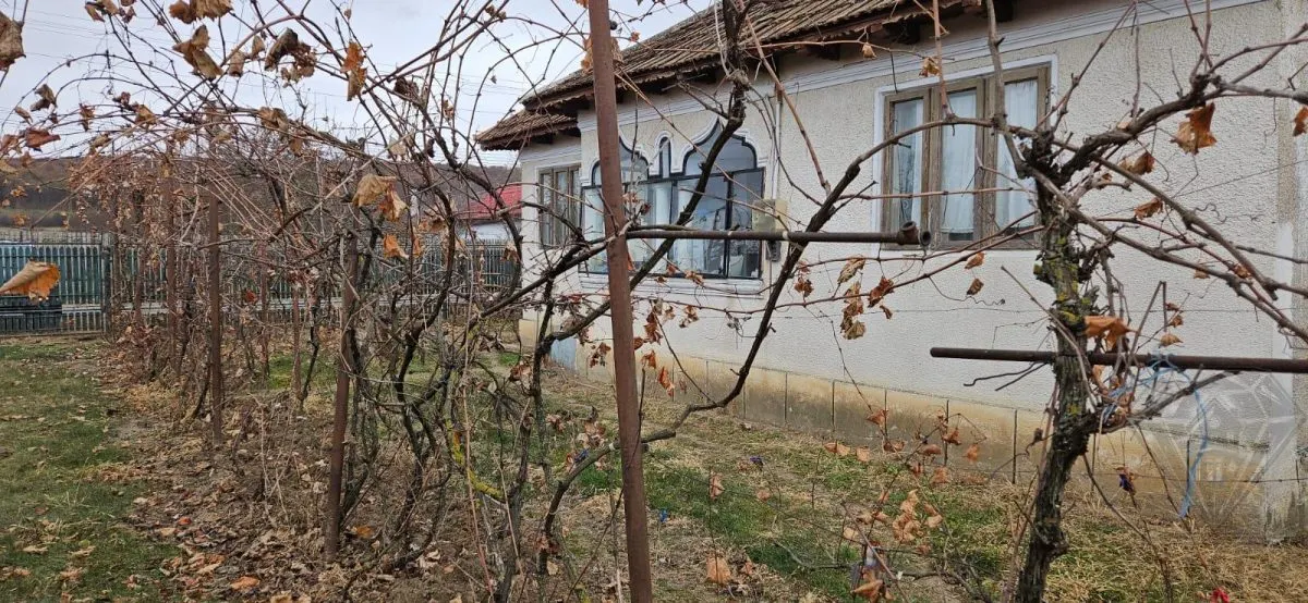 Terreno con Casa, Mehedința, Prahova - foto 4