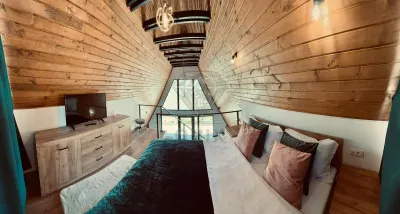 Cabane A-Frame à Vendre | Valea Doftanei, Tesila | Construction 2024 | 627 sqm - foto 8