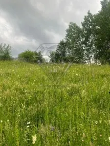 Valea Doftanei 建筑用地出售 - foto 2