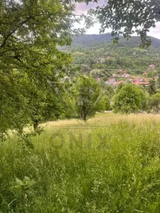 Valea Doftanei 建筑用地出售 - foto 3