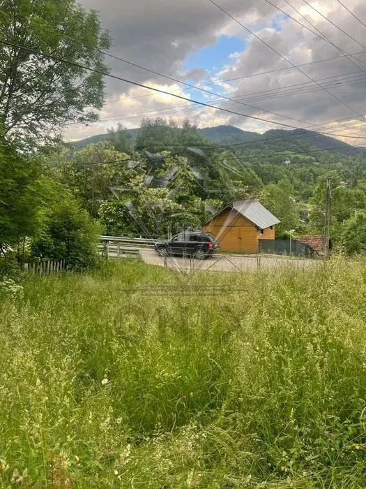 Valea Doftanei 建筑用地出售 - foto 5