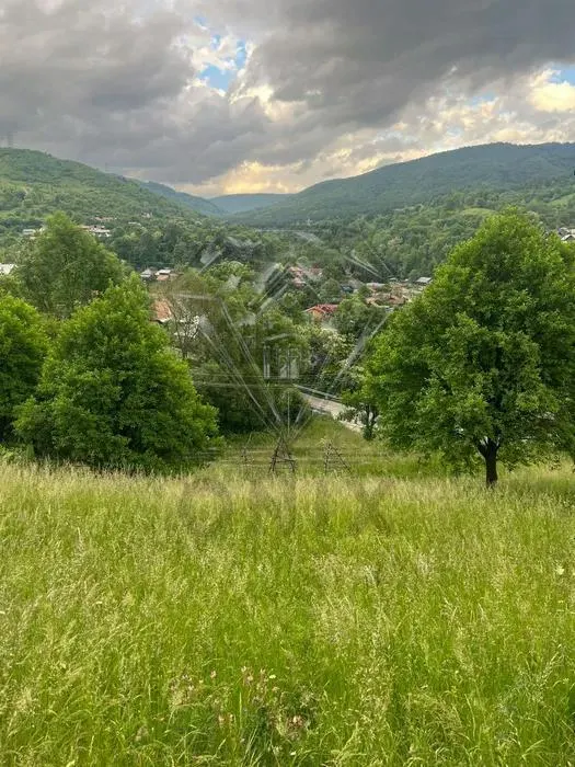 Valea Doftanei 建筑用地出售 - foto 7