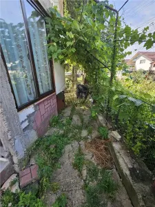 Espaciosa Casa de 6 Dormitorios en Venta, Maneciu-Ungureni, Prahova – Terreno 551 m² - foto 15