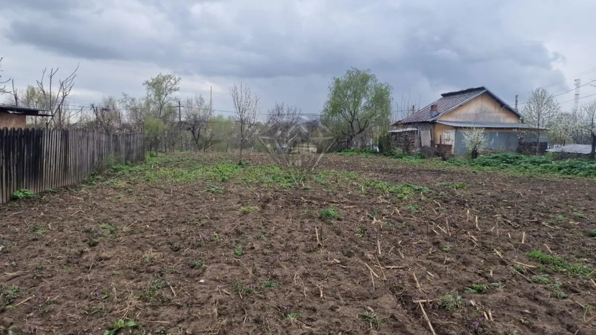 Terrain Constructible Gura Vitioarei, Département de Prahova - foto 2