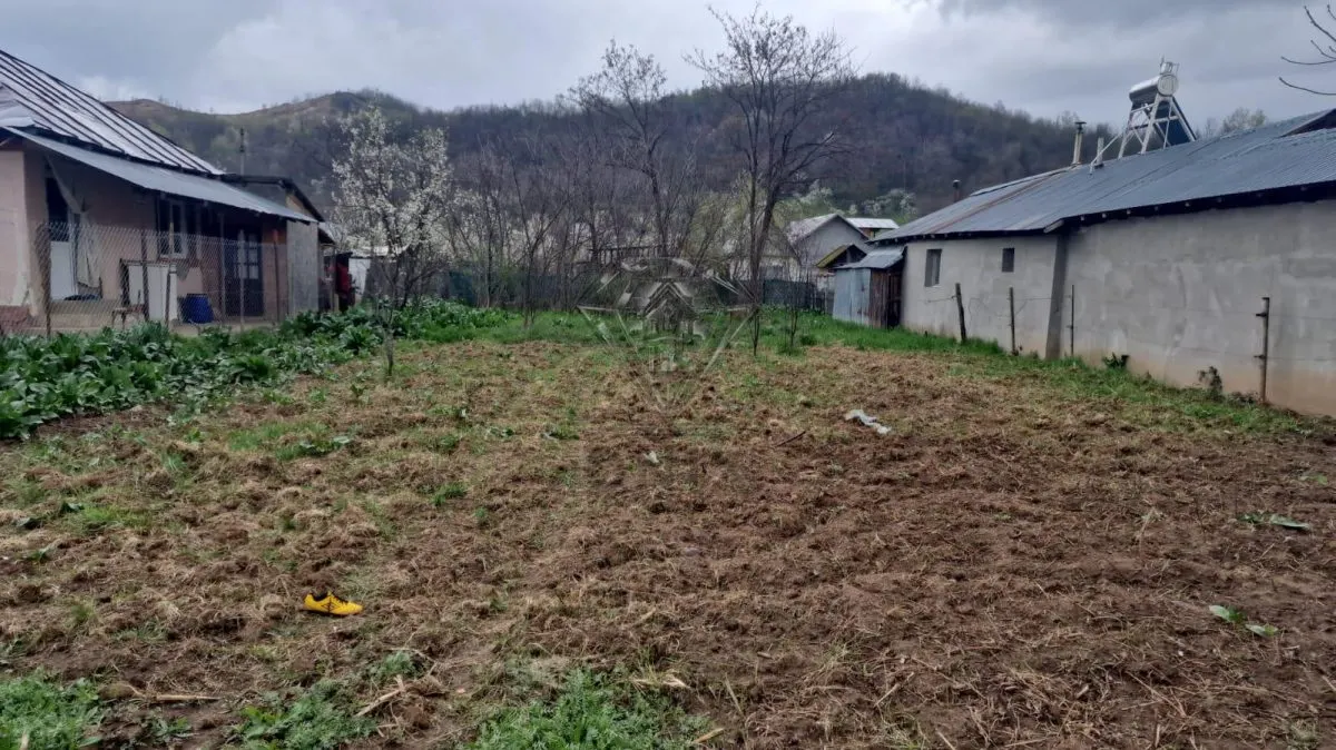 Terrain Constructible Gura Vitioarei, Département de Prahova - foto 3