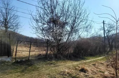 Terrain Constructible Gura Vitioarei, Département de Prahova - foto 4