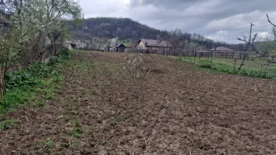 Terrain Constructible Gura Vitioarei, Département de Prahova - foto 7