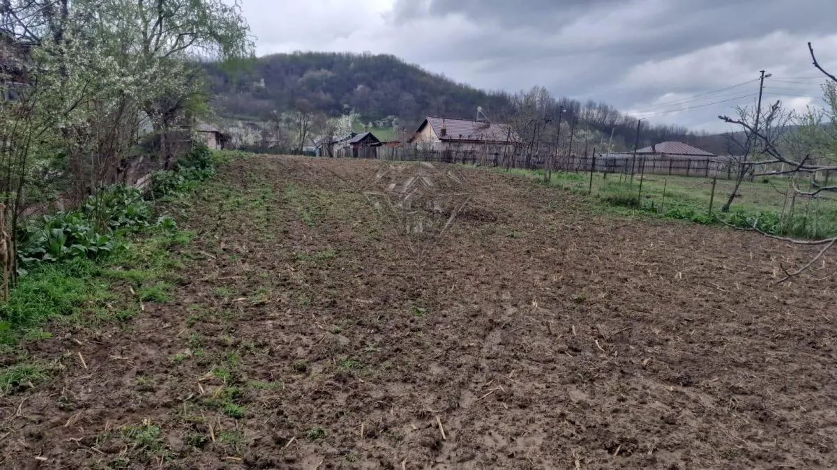 Terrain Constructible Gura Vitioarei, Département de Prahova - foto 7