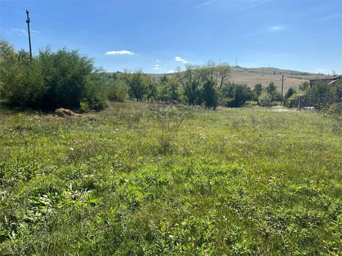 Terrain constructible 2.075 m², commune Drajna, Prahova - foto 1