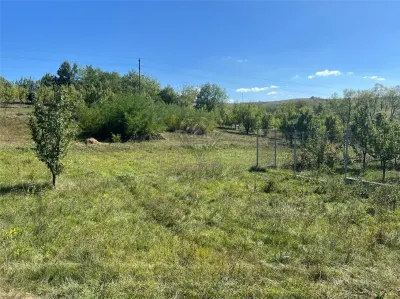Terrain constructible 2.075 m², commune Drajna, Prahova - foto 3