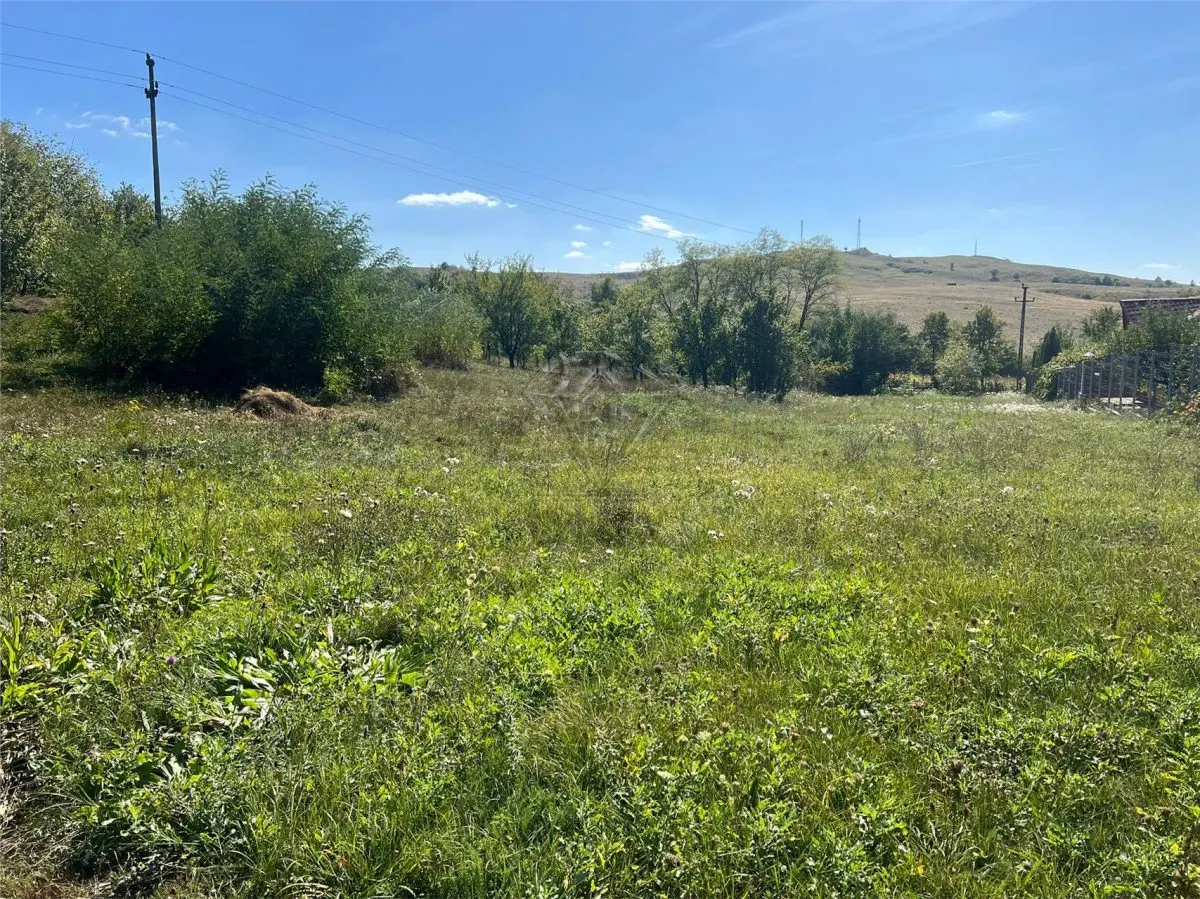 Terrain constructible 2.075 m², commune Drajna, Prahova - foto 6