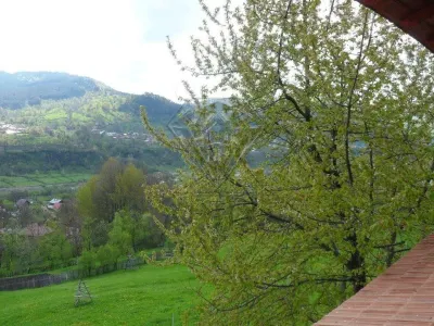 Villa Exceptionnelle 7 Chambres, Vues Panoramiques, 4.290 m² – Valea Doftanei - foto 21