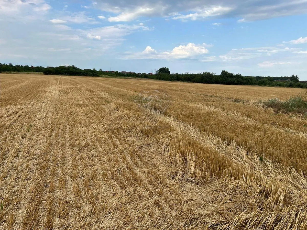 Terrain Résidentiel 7,100 m² à Vendre à Paulesti, Cocosesti – P+2E - foto 1