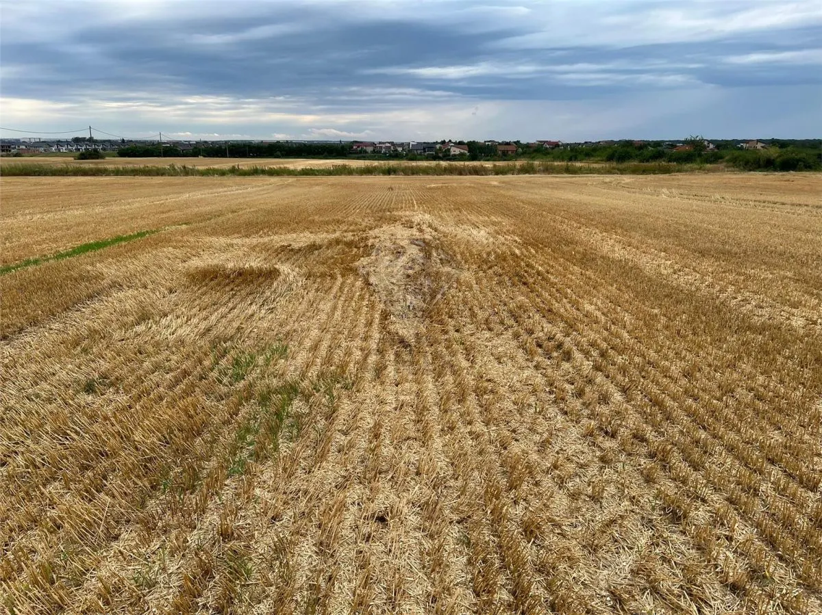 Terrain Résidentiel 7,100 m² à Vendre à Paulesti, Cocosesti – P+2E - foto 2