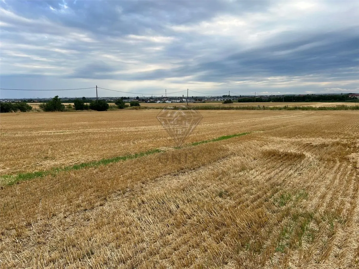 Terrain Résidentiel 7,100 m² à Vendre à Paulesti, Cocosesti – P+2E - foto 3