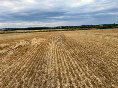 Terrain Résidentiel 7,100 m² à Vendre à Paulesti, Cocosesti – P+2E - foto 4