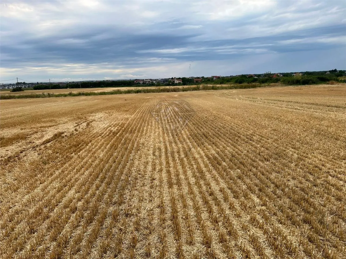 Terrain Résidentiel 7,100 m² à Vendre à Paulesti, Cocosesti – P+2E - foto 4