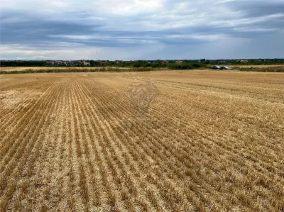 Terrain Résidentiel 7,100 m² à Vendre à Paulesti, Cocosesti – P+2E - foto 5
