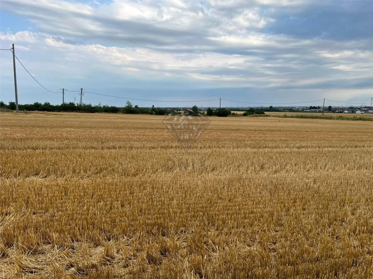 Terrain Résidentiel 7,100 m² à Vendre à Paulesti, Cocosesti – P+2E - foto 6