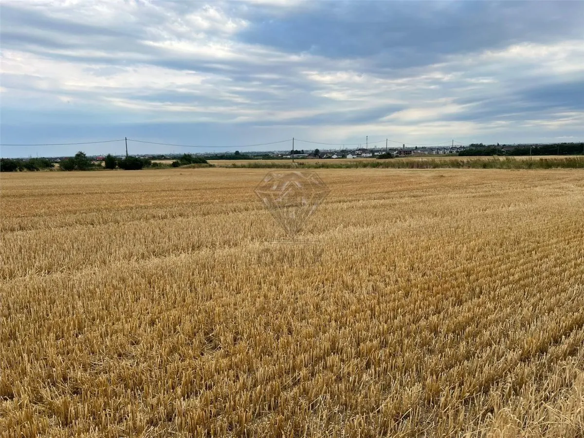 Terrain Résidentiel 7,100 m² à Vendre à Paulesti, Cocosesti – P+2E - foto 7