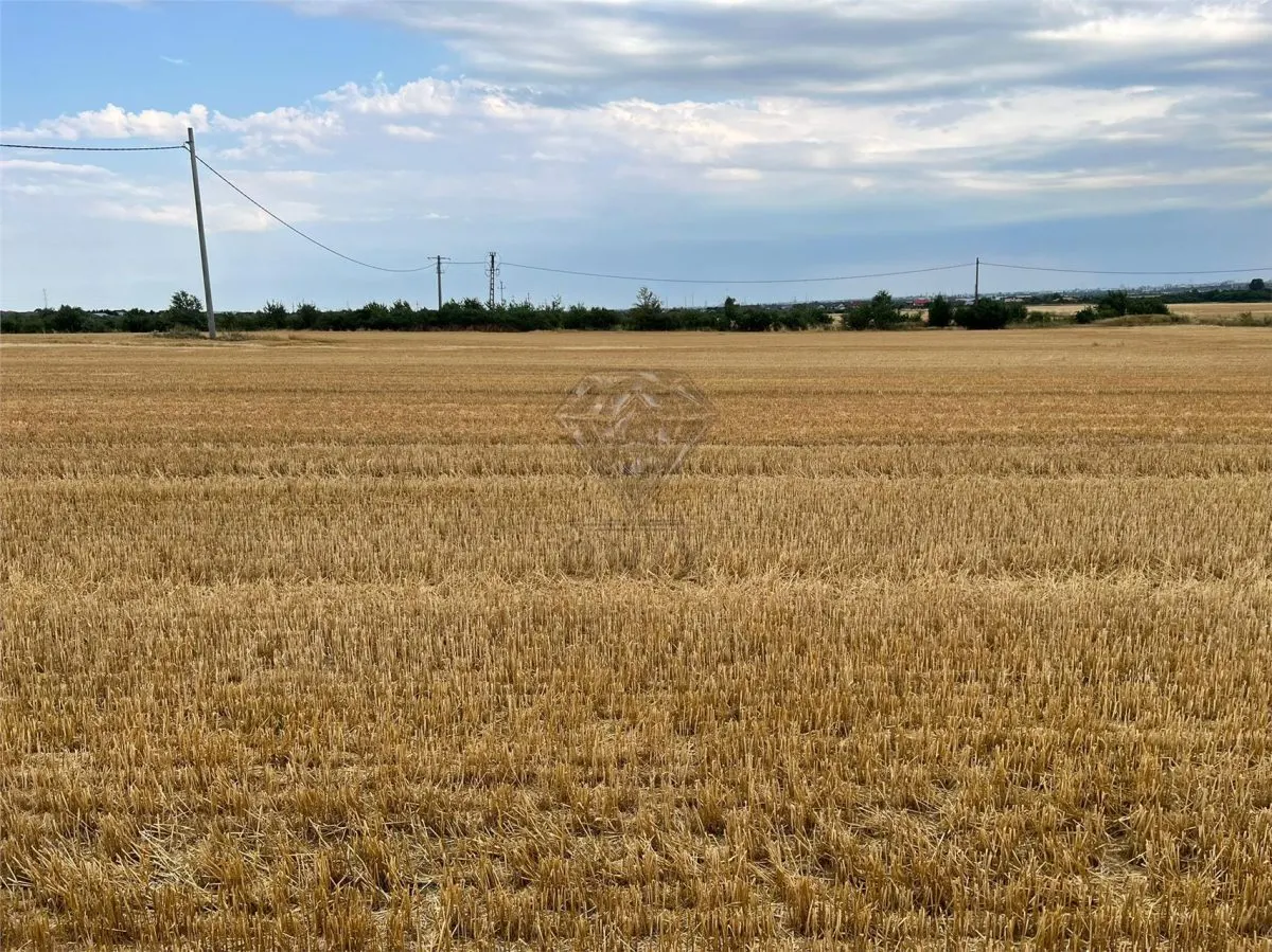 Terrain Résidentiel 7,100 m² à Vendre à Paulesti, Cocosesti – P+2E - foto 8